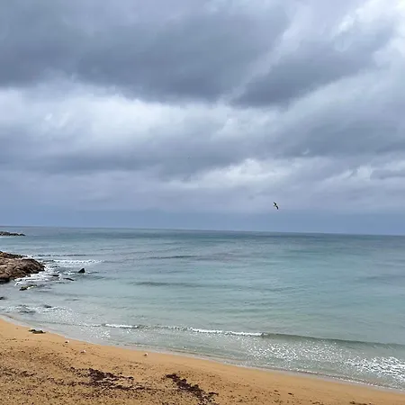 Agnese Experience * ガリポリ